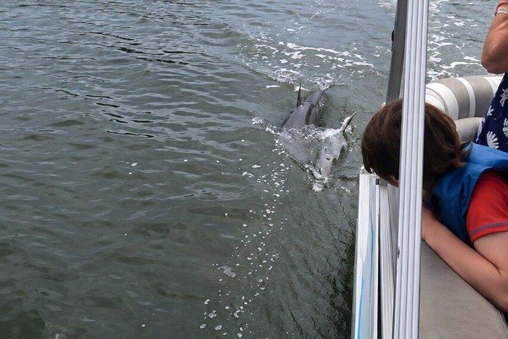 ココビーチおよびポートカナベラル近郊のイルカとマナティーボートツアー