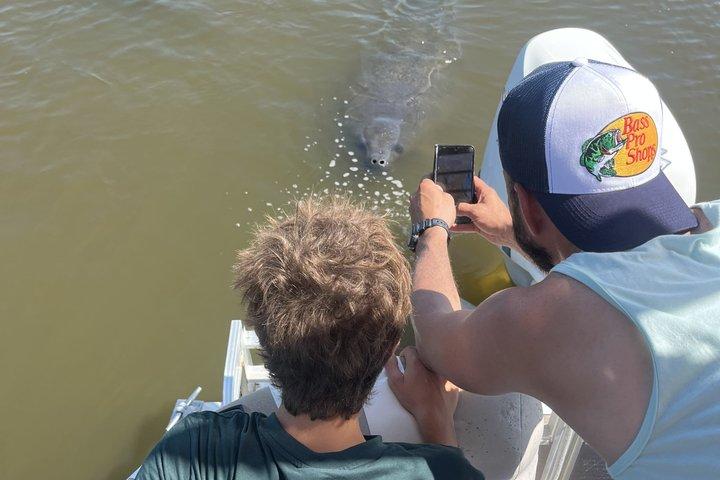ココビーチおよびポートカナベラル近郊のイルカとマナティーボートツアー