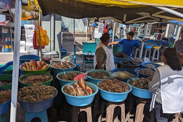 Explore Mazatlán Authentic Day Tours with Local Guides