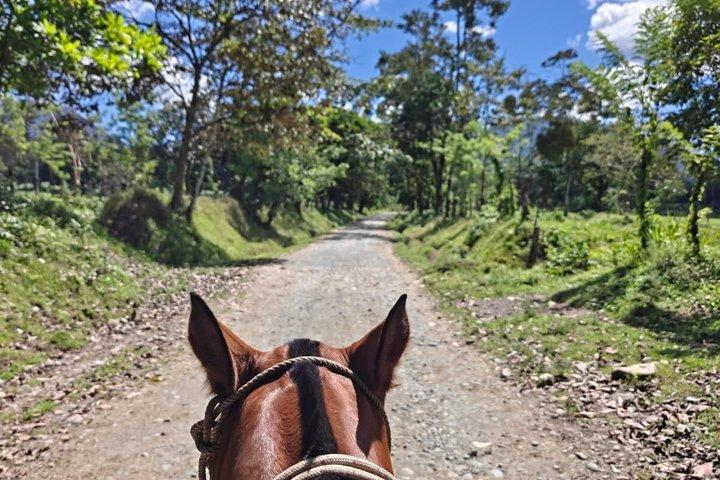 Cabalgata a la Catarata La Fortuna