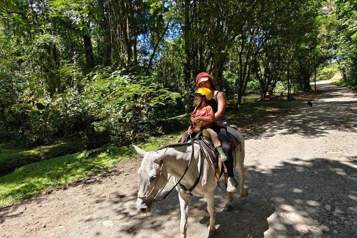 Cabalgata a la Catarata La Fortuna