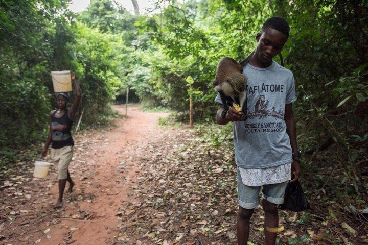 Full Day Volta Tour Tafi Atome Wli Waterfalls and Local Culture