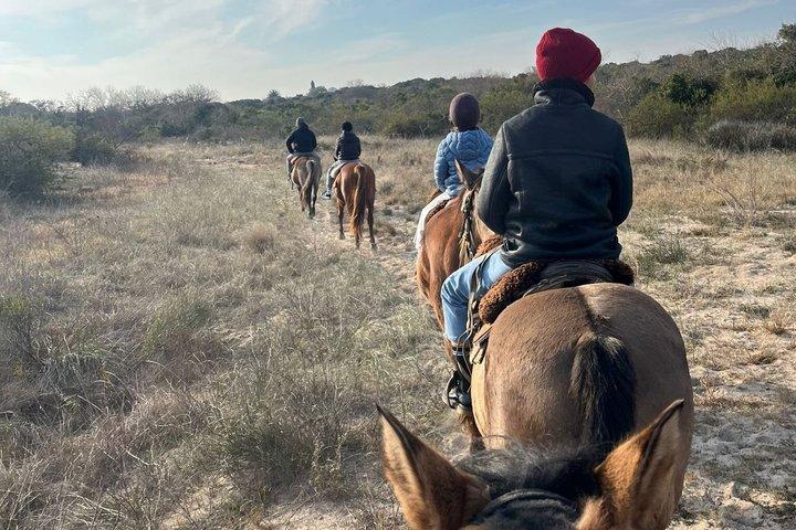Colonia del Sacramento Horseback Riding in the Countryside with Optional Picnic