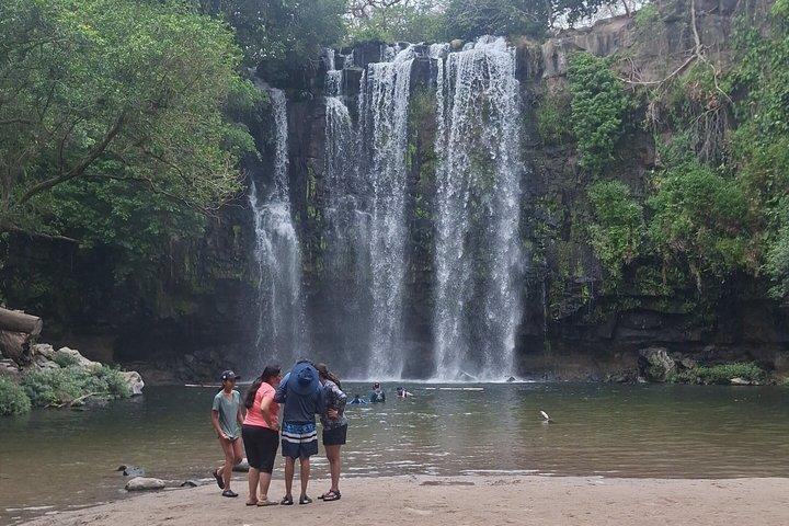 Sloth, Coffee & Chocolate Experience with Waterfall Swimming
