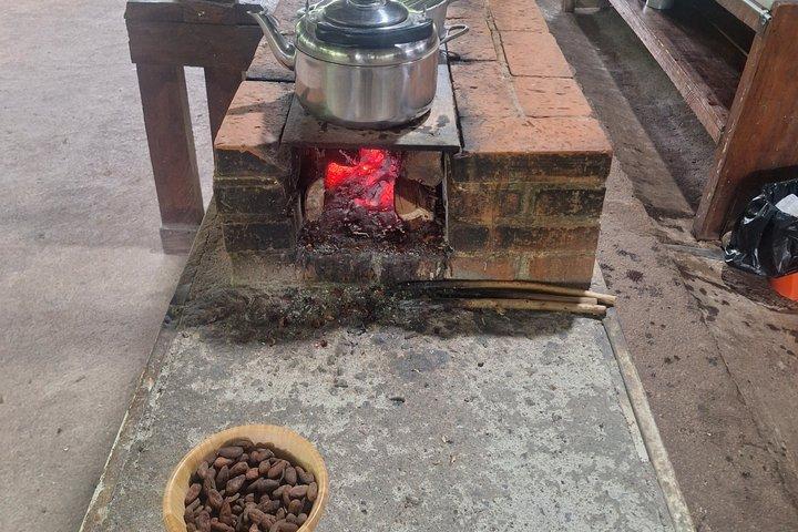 Sloth, Coffee & Chocolate Experience with Waterfall Swimming