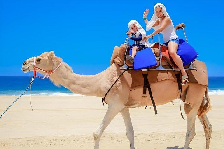 Tangier: sunset, camel ride, capo tea, esparte and caves
