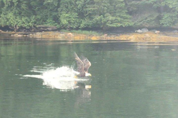 Ketchikan E-Bike Rentals Explore at Your Own Pace