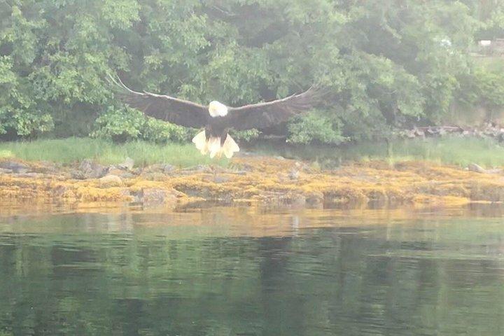Ketchikan E-Bike Rentals Explore at Your Own Pace