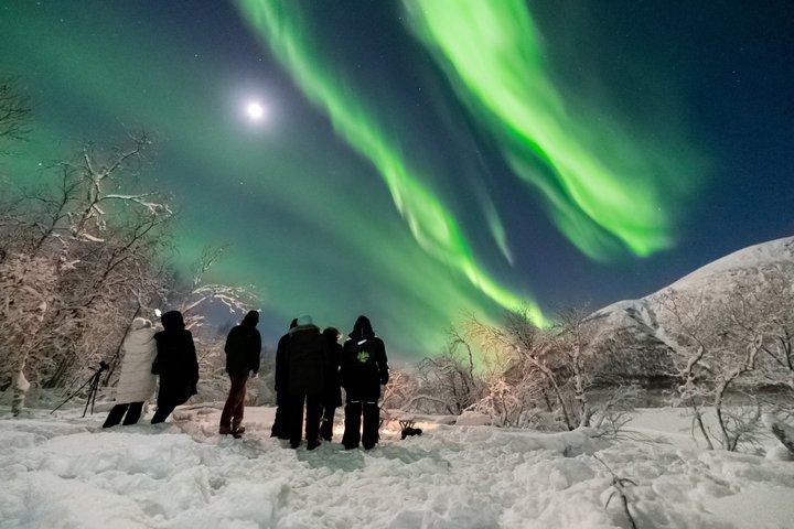 Nordlys 8 personer max Med fotos afhentning og termiske dragter