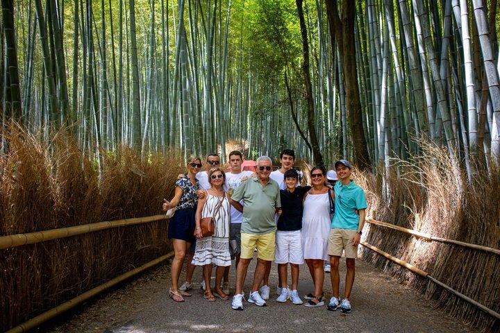 Shore excursion: Private Full Day Kyoto Tour From Osaka/Kobe Port