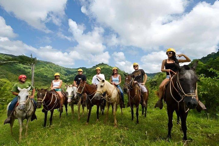 火山の日：乗馬、ジップライン、ウォータースライド、温泉＆カルチャー