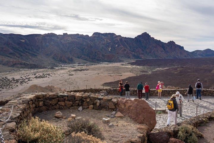 テネリフェのハイライト：港からのピックアップ付きの景勝地巡り