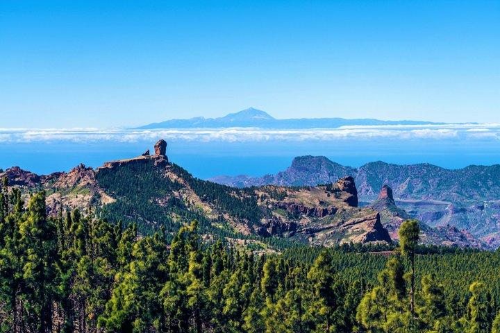 テネリフェのハイライト：港からのピックアップ付きの景勝地巡り