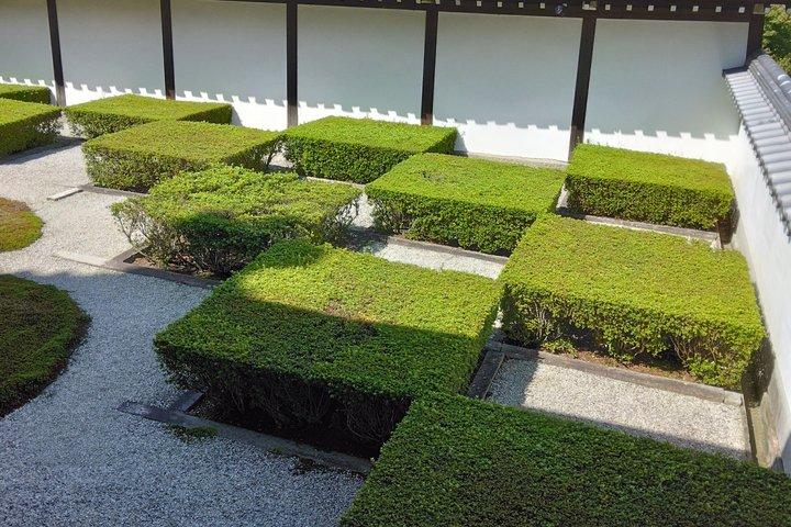 経験豊富な京都生まれのガイドと巡る隠れた京都