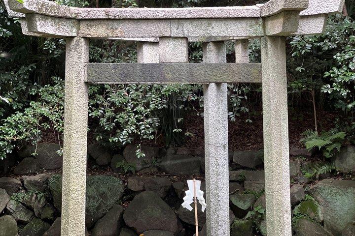 経験豊富な京都生まれのガイドと巡る隠れた京都