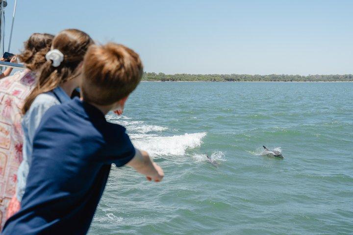 Mandurah Dolphin Cruise and Views