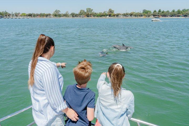 Mandurah Dolphin Cruise and Views