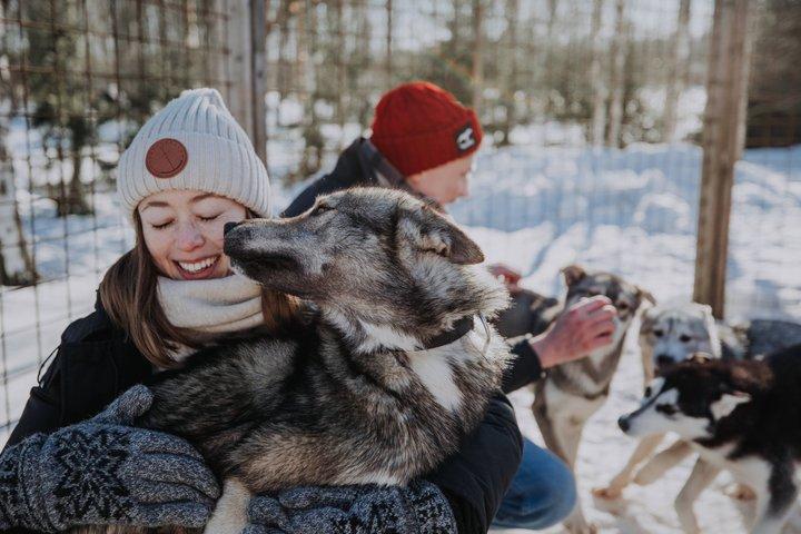 Experiência 5 - km Husky Safari de Levi