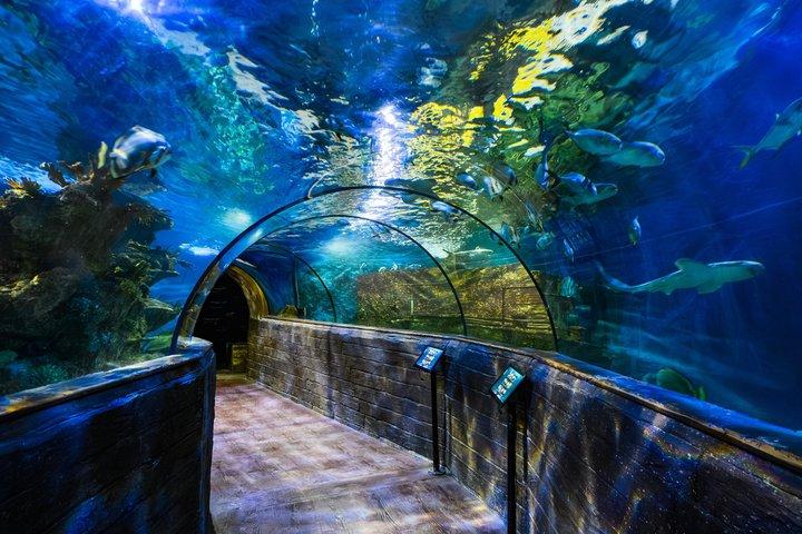 Malta All in One Sightseeing Premium Pass