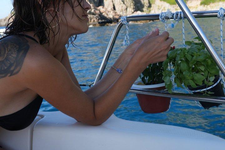 Excursion privée en voilier sur la Costa Viola
