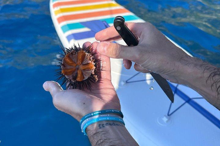 Excursion privée en voilier sur la Costa Viola