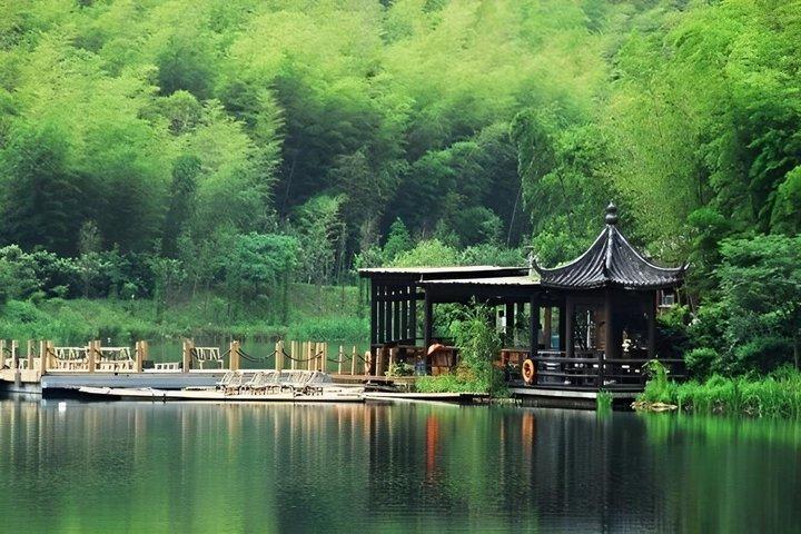 上海のしゃがむ虎竹林と白茶旅行