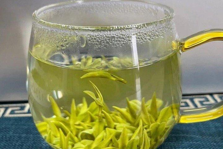 上海のしゃがむ虎竹林と白茶旅行