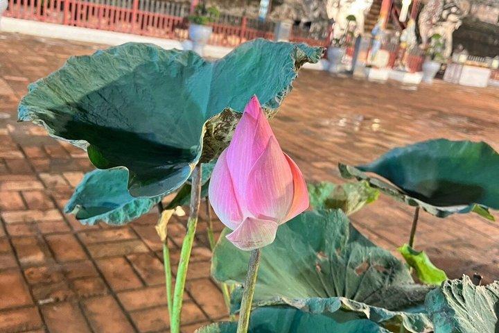 チェンマイの寺院とマーケット トゥクトゥク イブニング ナイト ツアー