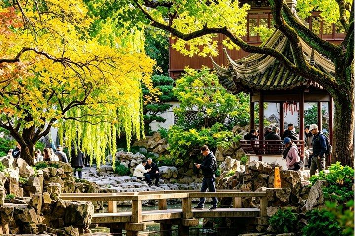 太極拳と豫園、外灘のプライベート上海日帰りツアー