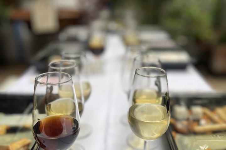 Dynamic Córdoba Wine Tasting