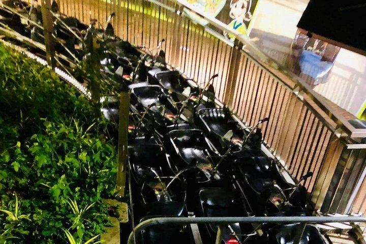 シンガポール スカイライン ルージュ＆スカイライド アドベンチャーパス