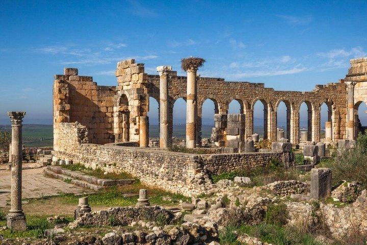 Fes to Volubilis, Moulay Idriss and Meknes Private Day Trip