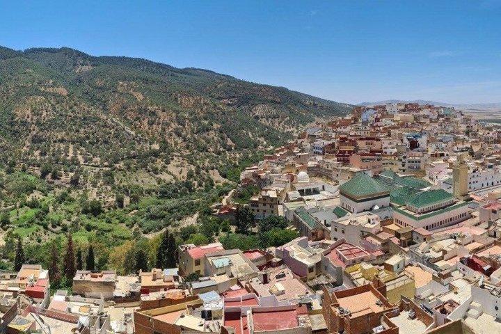 フェズからヴォルビリス、ムーレイ・イドリス、メクネスへのプライベート日帰り旅行
