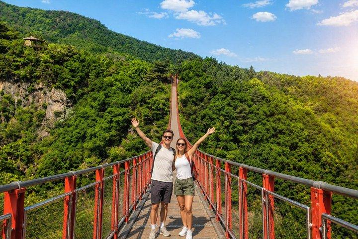 Small Group DMZ Tour with Hotel pickup : 3rd tunnel&Susp. Bridge