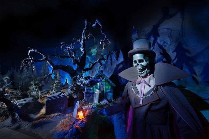Disneyland® Paris Express Shuttle mit Ticket aus dem Zentrum von Paris