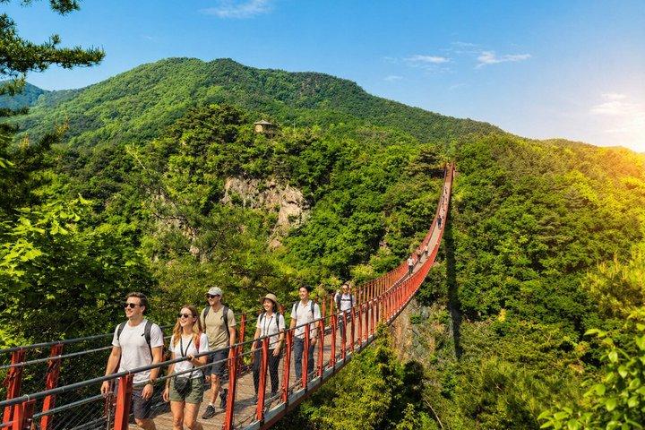 少人数限定DMZツアー（最大10名）ホテル送迎付き