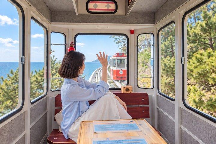 Busan Highlights: Small Group, Hotel Pick-up & Sky Capsule