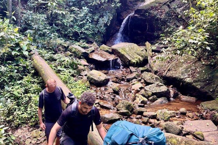 Vista Chinesa and Guided Hike in Tijuca Forest