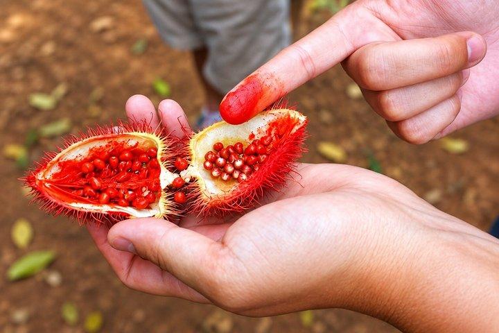 Traditional Zanzibar Cooking Class including Spice Tour