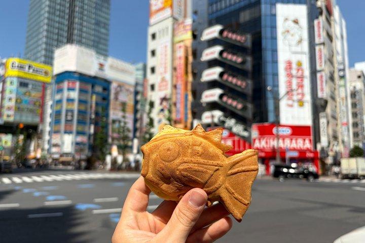 東京 秋葉原 アニメとストリートフード散策