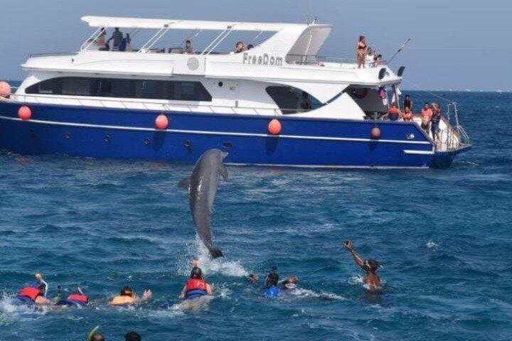Hurghada Dolphin House Snorkeling & Swimming with Dolphins Cruise