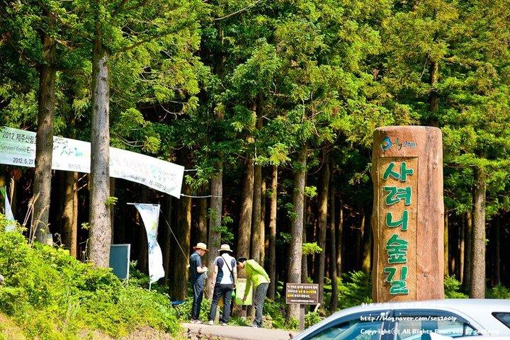済州東部ユネスコ世界遺産日帰りツアー