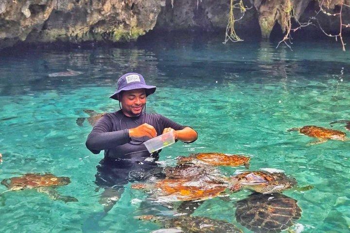 Explore Zanzibar with Jozani Red Colobus Monkey and Turtle Swim