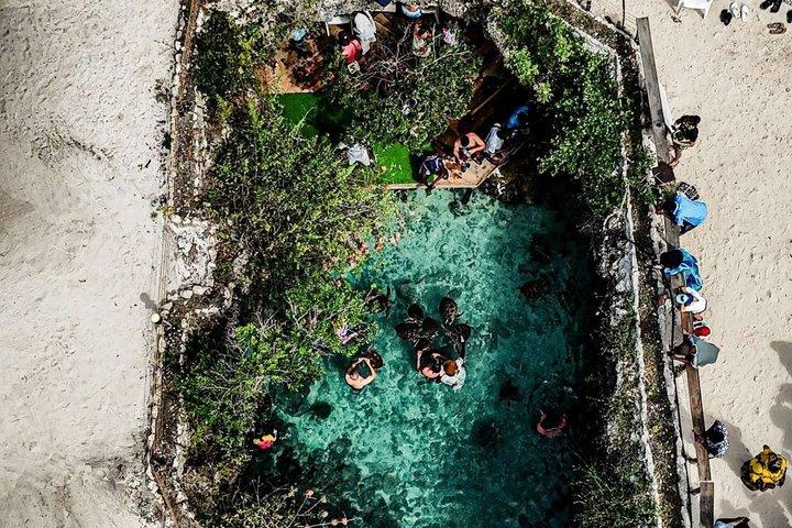 Explore Zanzibar with Jozani Red Colobus Monkey and Turtle Swim
