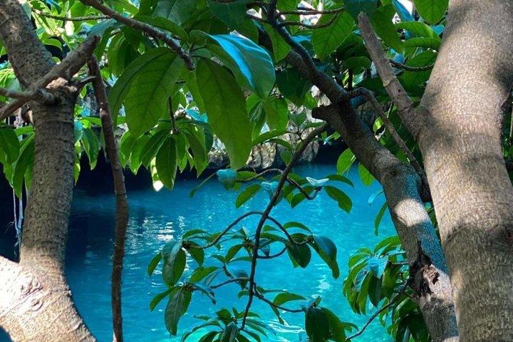 Explore Zanzibar with Jozani Red Colobus Monkey and Turtle Swim