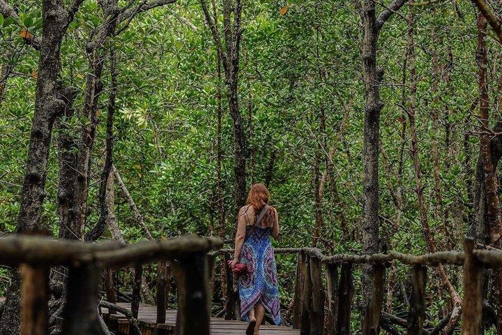 Explore Zanzibar with Jozani Red Colobus Monkey and Turtle Swim
