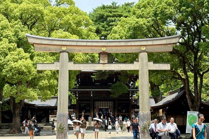 ミニバンと現地ガイドによる東京市内ハイライトツアー