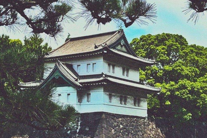 東京皇居ガイド（スペイン語版）