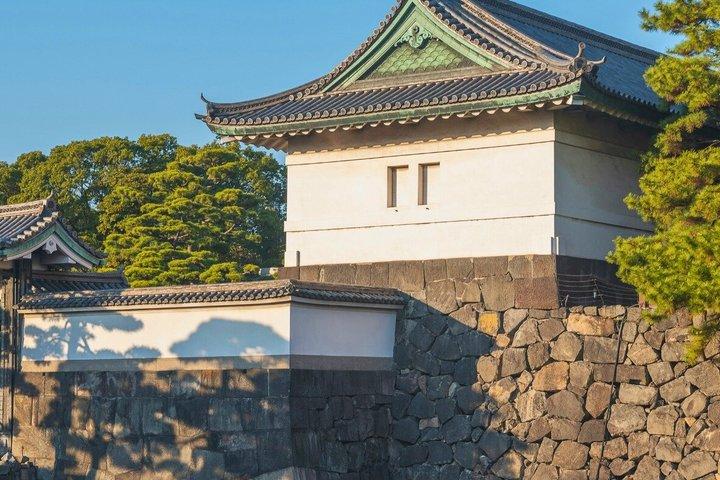 東京皇居ガイド（スペイン語版）