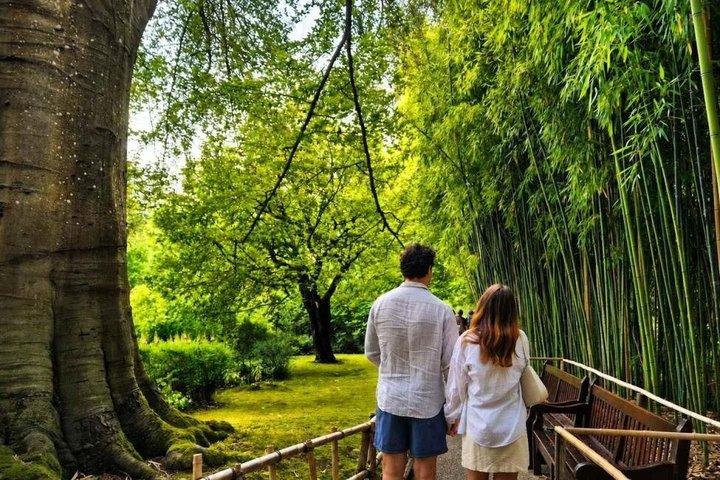 パリでのクロード・モネの家と睡蓮の庭園ツアー
